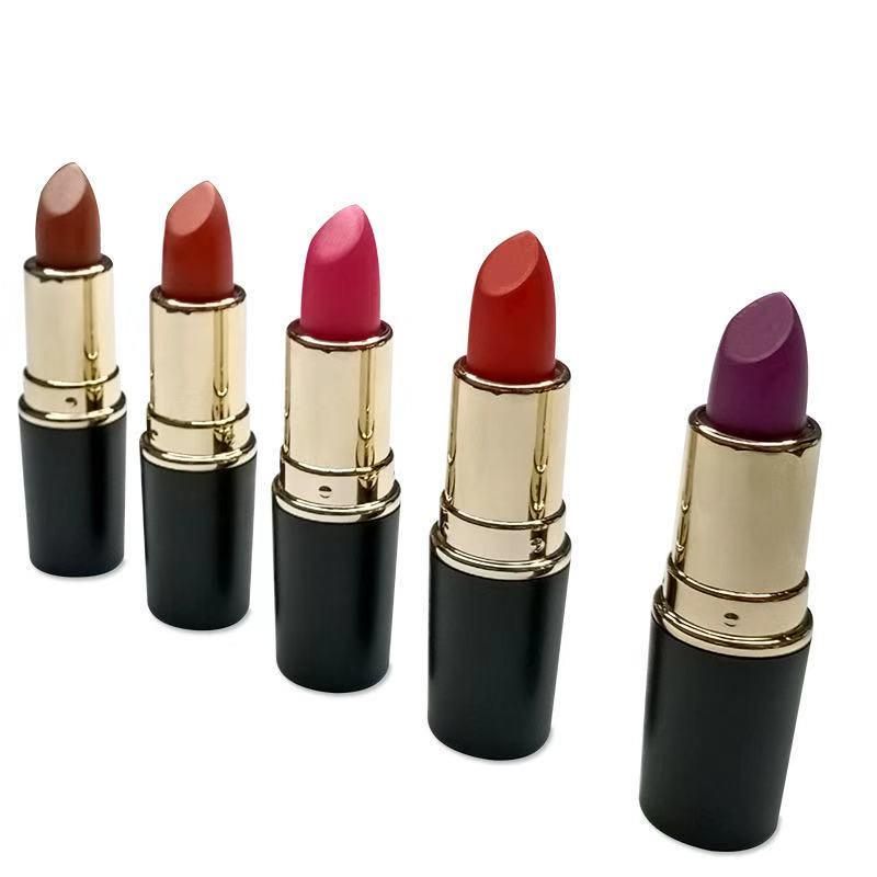 customize private label 20 colors lipstick lipgloss liquid matte makeup lip stick for ladies