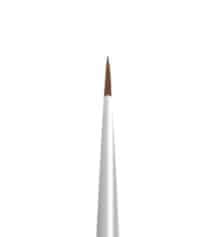 eyeliner brush